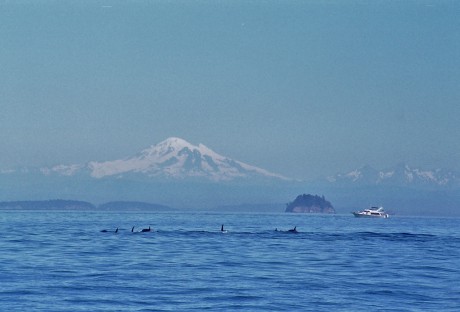 R001-014 MT.BAKER AND KILLER WHALES