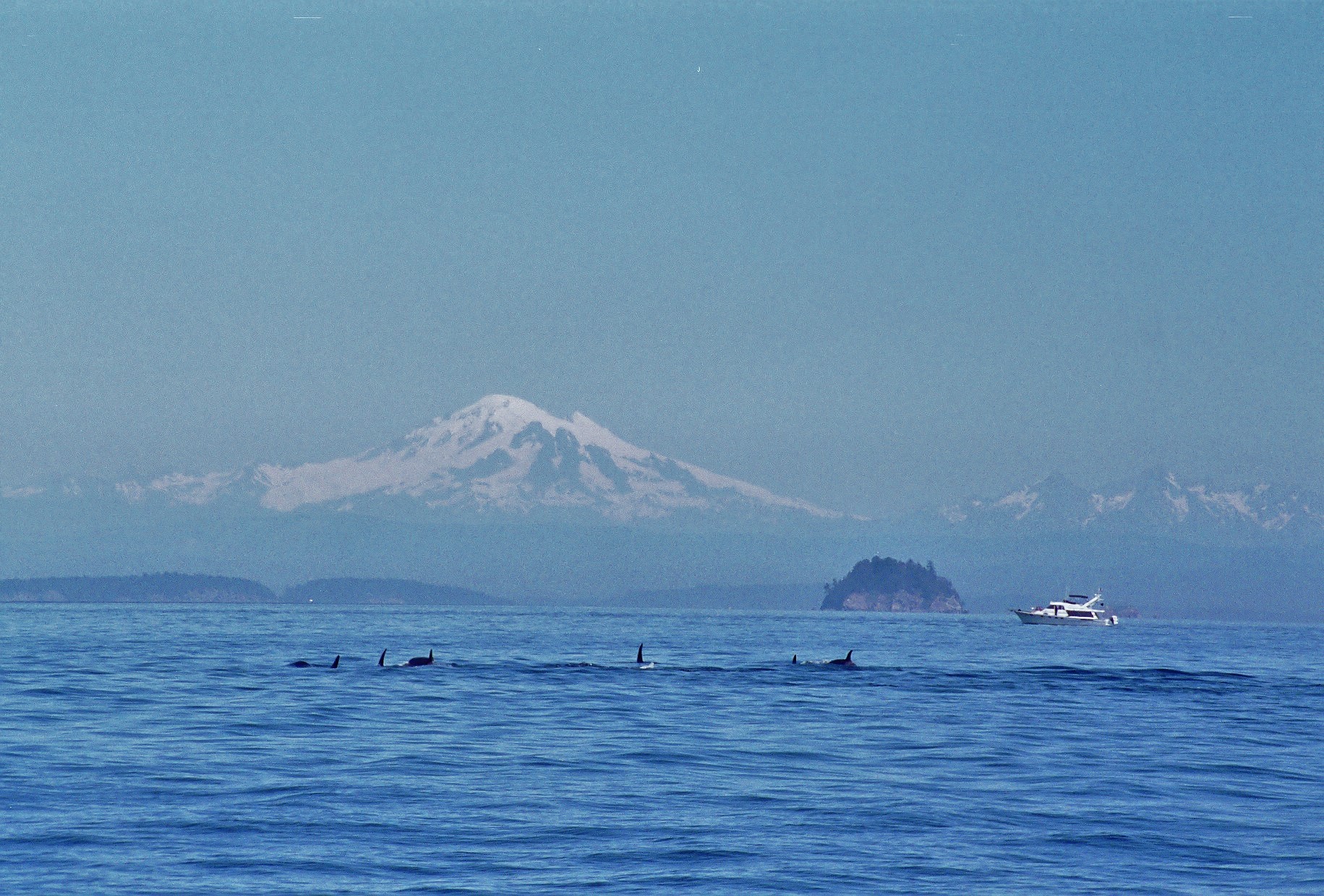 R001-014 MT.BAKER AND KILLER WHALES